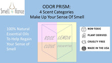 Load image into Gallery viewer, Smell Training Kit For Loss Of Smell (Travel Friendly)
